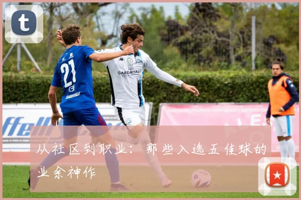 从社区到职业：那些入选五佳球的业余神作
