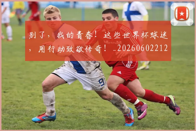 别了，我的青春！这些世界杯球迷，用行动致敬传奇！_20260602212530