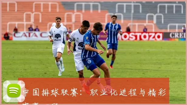 中国排球联赛：职业化进程与精彩赛事回顾