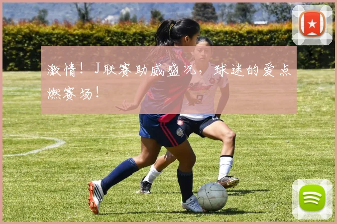 激情!J联赛助威盛况,球迷的爱点燃赛场!